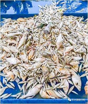 <a href=http://www.lexiangyou.org/xiangcunlvyou/ target=_blank class=infotextkey>乡村旅游</a>：出海啦！体验君临珠江口+伶仃洋的豪迈，即时品尝美味海鲜