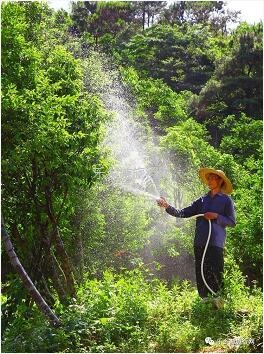 <a href=http://www.lexiangyou.org/xiangcunlvyou/ target=_blank class=infotextkey>乡村旅游</a>：秋天凉爽，一起参加五桂沉香文化之旅