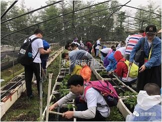 <a href=http://www.lexiangyou.org/xiangcunlvyou/ target=_blank class=infotextkey>乡村旅游</a>：水果丰收的季节，自游采摘品尝