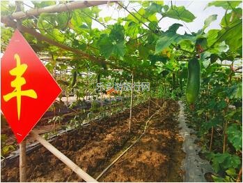 <a href=http://www.lexiangyou.org/xiangcunlvyou/ target=_blank class=infotextkey>乡村旅游</a>：国庆假期，10+项活动任玩，还有必吃的水乡美食！