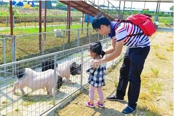 <a href=http://www.lexiangyou.org/xiangcunlvyou/ target=_blank class=infotextkey>乡村旅游</a>：国庆假期，10+项活动任玩，还有必吃的水乡美食！