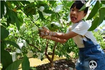 <a href=http://www.lexiangyou.org/xiangcunlvyou/ target=_blank class=infotextkey>乡村旅游</a>：国庆假期，10+项活动任玩，还有必吃的水乡美食！