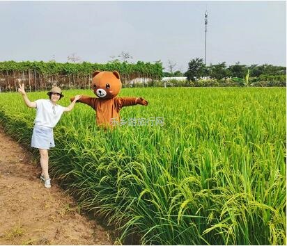 <a href=http://www.lexiangyou.org/xiangcunlvyou/ target=_blank class=infotextkey>乡村旅游</a>：国庆假期，10+项活动任玩，还有必吃的水乡美食！