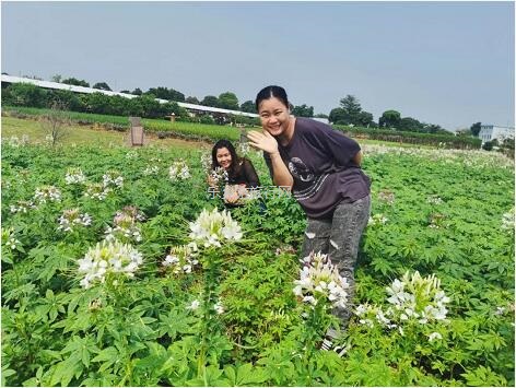 <a href=http://www.lexiangyou.org/xiangcunlvyou/ target=_blank class=infotextkey>乡村旅游</a>：国庆假期，10+项活动任玩，还有必吃的水乡美食！