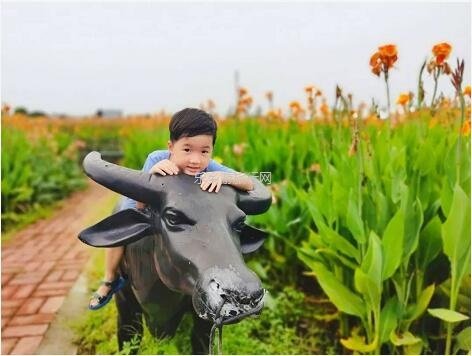 <a href=http://www.lexiangyou.org/xiangcunlvyou/ target=_blank class=infotextkey>乡村旅游</a>：国庆假期，10+项活动任玩，还有必吃的水乡美食！