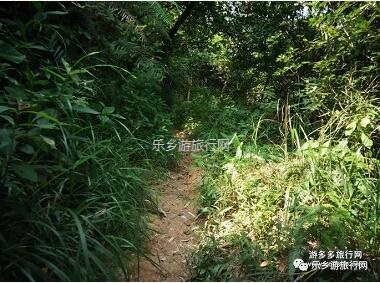 <a href=http://www.lexiangyou.org/xiangcunlvyou/ target=_blank class=infotextkey>乡村旅游</a>：潭水清澈，瀑布如丝绸般滑过
