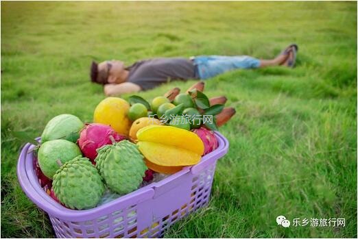 <a href=http://www.lexiangyou.org/xiangcunlvyou/ target=_blank class=infotextkey>乡村旅游</a>：皇帝柑熟啦！时令水果任摘任吃，赠送亲子游船+钓鱼