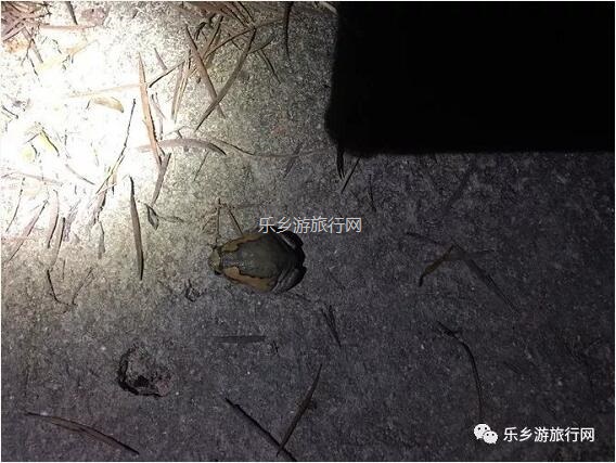 <a href=http://www.lexiangyou.org/xiangcunlvyou/ target=_blank class=infotextkey>乡村旅游</a>：山峦与湖面，每天都有不一样的风景