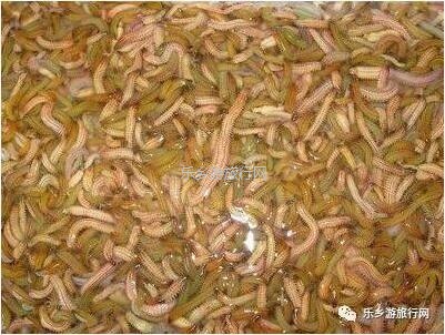 <a href=http://www.lexiangyou.org/xiangcunlvyou/ target=_blank class=infotextkey>乡村旅游</a>：秋季时节，中山咸淡水交汇处盛产美味