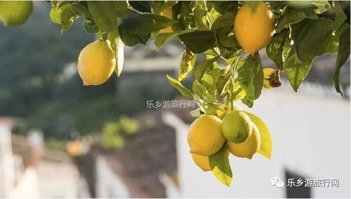 <a href=http://www.lexiangyou.org/xiangcunlvyou/ target=_blank class=infotextkey>乡村旅游</a>：赏秋色、品水果，绿道骑行；还可以放飞心中的梦想！