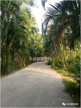 <a href=http://www.lexiangyou.org/xiangcunlvyou/ target=_blank class=infotextkey>乡村旅游</a>：公园里面景点众多：百花园、樱花园、杜鹃园、荷塘月色