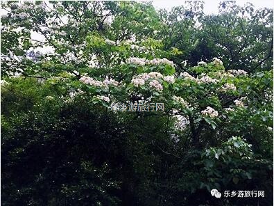 <a href=http://www.lexiangyou.org/xiangcunlvyou/ target=_blank class=infotextkey>乡村旅游</a>：公园里面景点众多：百花园、樱花园、杜鹃园、荷塘月色