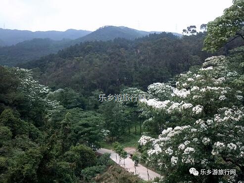 <a href=http://www.lexiangyou.org/xiangcunlvyou/ target=_blank class=infotextkey>乡村旅游</a>：公园里面景点众多：百花园、樱花园、杜鹃园、荷塘月色
