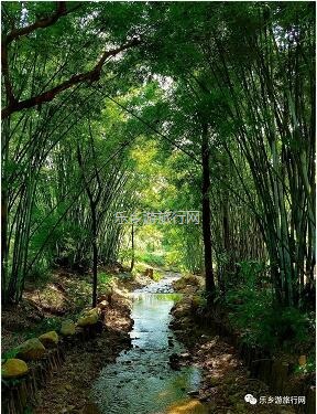 <a href=http://www.lexiangyou.org/xiangcunlvyou/ target=_blank class=infotextkey>乡村旅游</a>：公园里面景点众多：百花园、樱花园、杜鹃园、荷塘月色