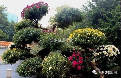 <a href=http://www.lexiangyou.org/xiangcunlvyou/ target=_blank class=infotextkey>乡村旅游</a>：今天开园！中山花海实景曝光，各款美食等你品尝
