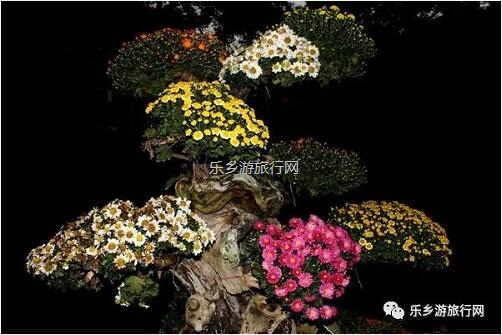 <a href=http://www.lexiangyou.org/xiangcunlvyou/ target=_blank class=infotextkey>乡村旅游</a>：今天开园！中山花海实景曝光，各款美食等你品尝