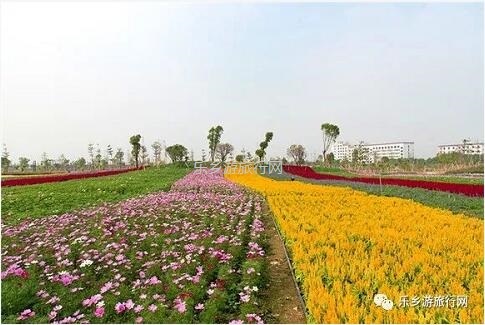 <a href=http://www.lexiangyou.org/xiangcunlvyou/ target=_blank class=infotextkey>乡村旅游</a>：今天开园！中山花海实景曝光，各款美食等你品尝