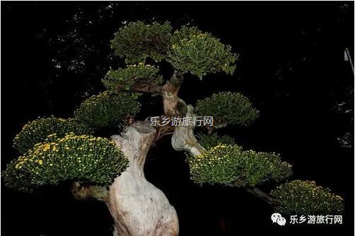 <a href=http://www.lexiangyou.org/xiangcunlvyou/ target=_blank class=infotextkey>乡村旅游</a>：今天开园！中山花海实景曝光，各款美食等你品尝