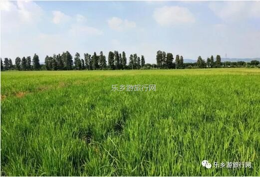 <a href=http://www.lexiangyou.org/xiangcunlvyou/ target=_blank class=infotextkey>乡村旅游</a>：尼个音乐节来了！四大音乐专场，乡村美食，农耕文化体验...