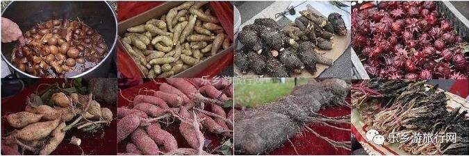 <a href=http://www.lexiangyou.org/xiangcunlvyou/ target=_blank class=infotextkey>乡村旅游</a>：尼个音乐节来了！四大音乐专场，乡村美食，农耕文化体验...