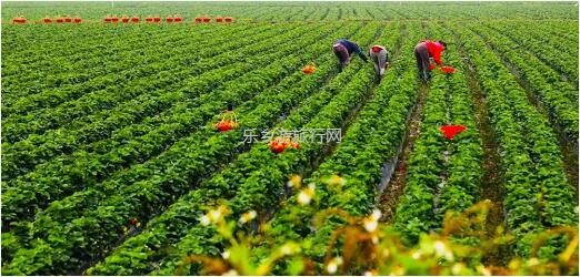 <a href=http://www.lexiangyou.org/xiangcunlvyou/ target=_blank class=infotextkey>乡村旅游</a>：尼个音乐节来了！四大音乐专场，乡村美食，农耕文化体验...