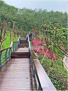 <a href=http://www.lexiangyou.org/xiangcunlvyou/ target=_blank class=infotextkey>乡村旅游</a>：金钟湖公园：漫步绿道，欣赏湿地美景
