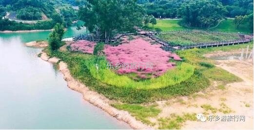 <a href=http://www.lexiangyou.org/xiangcunlvyou/ target=_blank class=infotextkey>乡村旅游</a>：金钟湖公园：漫步绿道，欣赏湿地美景