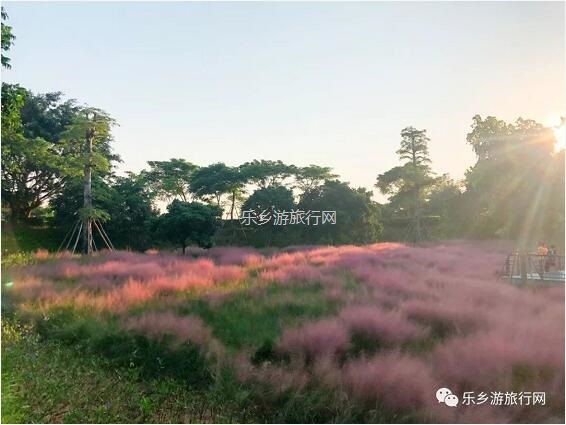 <a href=http://www.lexiangyou.org/xiangcunlvyou/ target=_blank class=infotextkey>乡村旅游</a>：金钟湖公园：漫步绿道，欣赏湿地美景