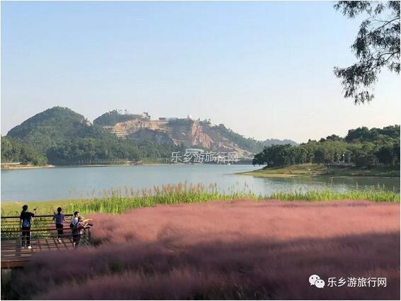 <a href=http://www.lexiangyou.org/xiangcunlvyou/ target=_blank class=infotextkey>乡村旅游</a>：金钟湖公园：漫步绿道，欣赏湿地美景