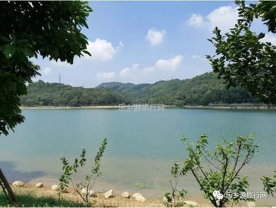 <a href=http://www.lexiangyou.org/xiangcunlvyou/ target=_blank class=infotextkey>乡村旅游</a>：金钟湖公园：漫步绿道，欣赏湿地美景