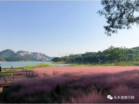 <a href=http://www.lexiangyou.org/xiangcunlvyou/ target=_blank class=infotextkey>乡村旅游</a>：金钟湖公园：漫步绿道，欣赏湿地美景