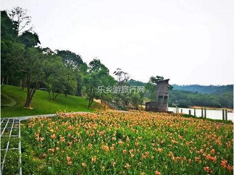 <a href=http://www.lexiangyou.org/xiangcunlvyou/ target=_blank class=infotextkey>乡村旅游</a>：金钟湖公园：漫步绿道，欣赏湿地美景