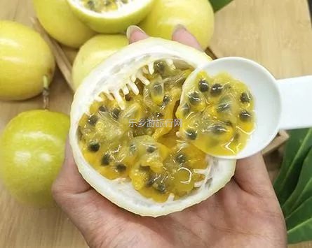 <a href=http://www.lexiangyou.org/xiangcunlvyou/ target=_blank class=infotextkey>乡村旅游</a>：黄金百香果：沁人心脾的香味，酸甜可口的果汁