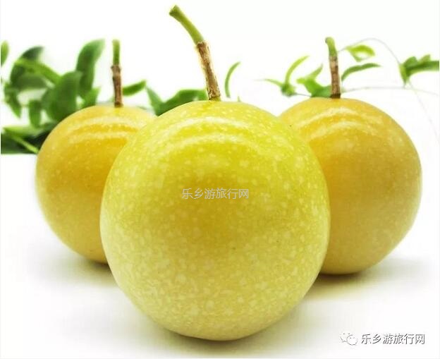 <a href=http://www.lexiangyou.org/xiangcunlvyou/ target=_blank class=infotextkey>乡村旅游</a>：黄金百香果：沁人心脾的香味，酸甜可口的果汁