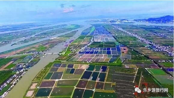 乡村旅游：红芯木瓜：清甜香浓、软化多汁、入口即化