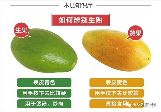 乡村旅游：红芯木瓜：清甜香浓、软化多汁、入口即化