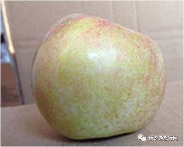 <a href=http://www.lexiangyou.org/xiangcunlvyou/ target=_blank class=infotextkey>乡村旅游</a>：冰糖心苹果：新鲜采摘，果大肉细，甜脆多汁