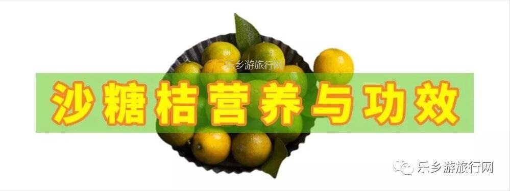 <a href=http://www.lexiangyou.org/xiangcunlvyou/ target=_blank class=infotextkey>乡村旅游</a>：五桂山沙糖桔任摘任吃，原生态品尝泥煨鸡套餐