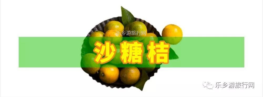 <a href=http://www.lexiangyou.org/xiangcunlvyou/ target=_blank class=infotextkey>乡村旅游</a>：五桂山沙糖桔任摘任吃，原生态品尝泥煨鸡套餐