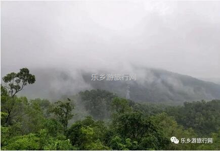 <a href=http://www.lexiangyou.org/xiangcunlvyou/ target=_blank class=infotextkey>乡村旅游</a>：登临山顶，观赏“二龙戏珠”和伶仃洋的鱼跃