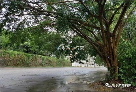 <a href=http://www.lexiangyou.org/xiangcunlvyou/ target=_blank class=infotextkey>乡村旅游</a>：登临山顶，观赏“二龙戏珠”和伶仃洋的鱼跃