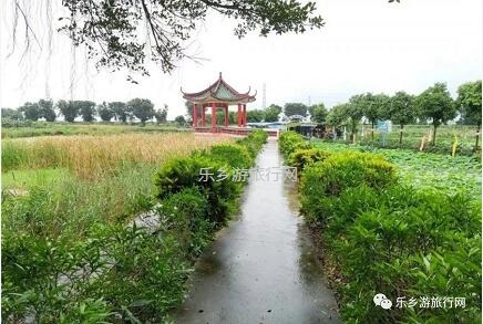 <a href=http://www.lexiangyou.org/xiangcunlvyou/ target=_blank class=infotextkey>乡村旅游</a>：登临山顶，观赏“二龙戏珠”和伶仃洋的鱼跃