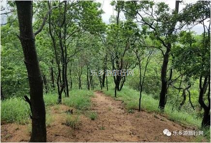 <a href=http://www.lexiangyou.org/xiangcunlvyou/ target=_blank class=infotextkey>乡村旅游</a>：登临山顶，观赏“二龙戏珠”和伶仃洋的鱼跃
