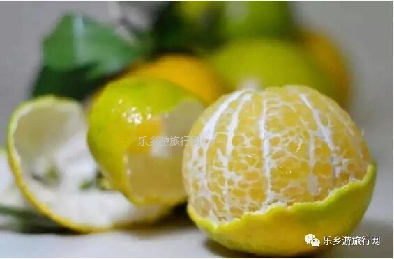 <a href=http://www.lexiangyou.org/xiangcunlvyou/ target=_blank class=infotextkey>乡村旅游</a>：民众皇帝柑熟了！皮薄多汁，脆嫩够甜