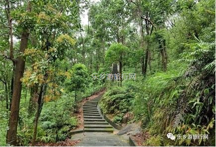<a href=http://www.lexiangyou.org/xiangcunlvyou/ target=_blank class=infotextkey>乡村旅游</a>：登临山顶，观赏“二龙戏珠”和伶仃洋的鱼跃