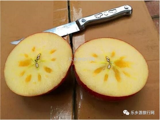 <a href=http://www.lexiangyou.org/xiangcunlvyou/ target=_blank class=infotextkey>乡村旅游</a>：【特产】欣赏草湖雨后美景，品尝新疆冰糖心苹果
