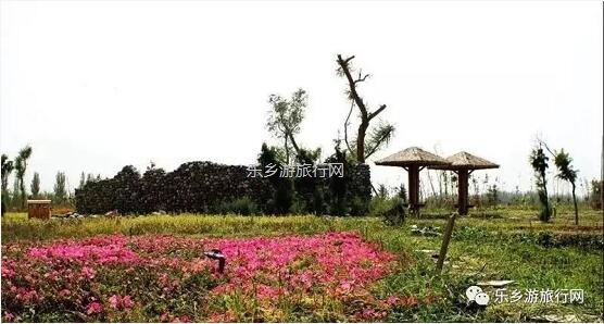 <a href=http://www.lexiangyou.org/xiangcunlvyou/ target=_blank class=infotextkey>乡村旅游</a>：【特产】欣赏草湖雨后美景，品尝新疆冰糖心苹果
