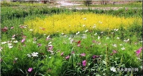 <a href=http://www.lexiangyou.org/xiangcunlvyou/ target=_blank class=infotextkey>乡村旅游</a>：【特产】欣赏草湖雨后美景，品尝新疆冰糖心苹果