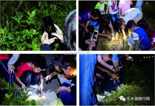 <a href=http://www.lexiangyou.org/xiangcunlvyou/ target=_blank class=infotextkey>乡村旅游</a>：【邀请函】2020跨年倒数年会，户外草坪自助美食+露天电影+荧火许愿+亲子游戏...