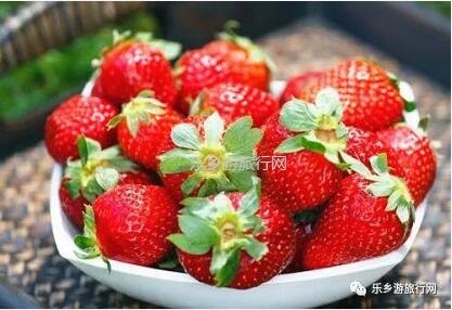 <a href=http://www.lexiangyou.org/xiangcunlvyou/ target=_blank class=infotextkey>乡村旅游</a>：暖冬，我地一齐采摘草莓